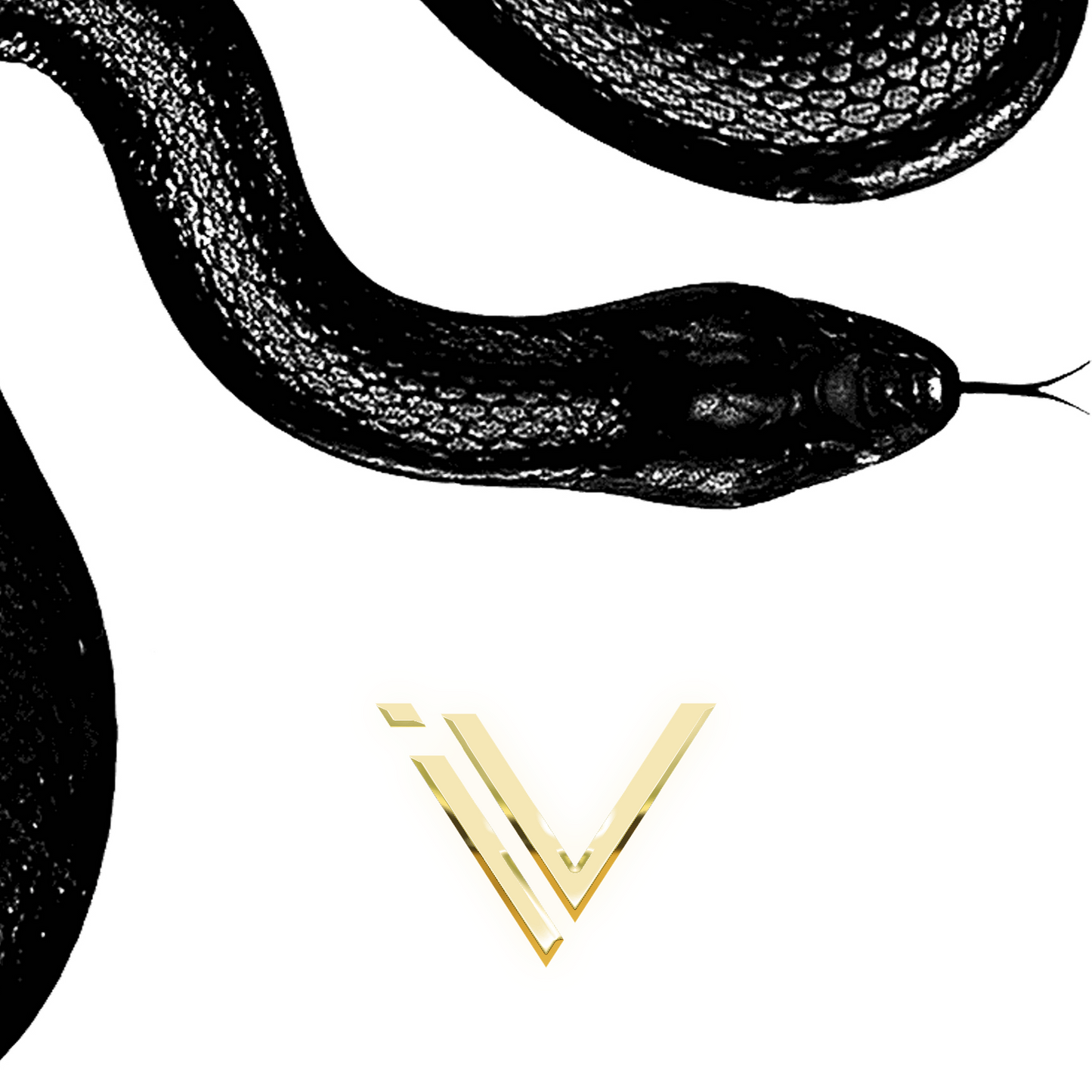 The Genesis Luxury Case V2.0 (REINFORCED)