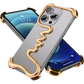 The Alta Case